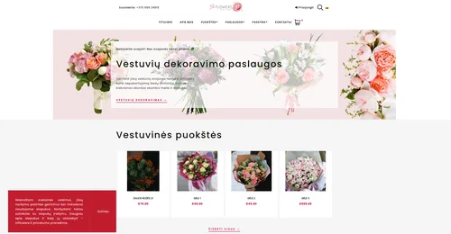 Website image