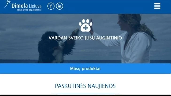 dimela projektas