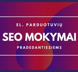 el.parduotuviu seo mokymai vilnius