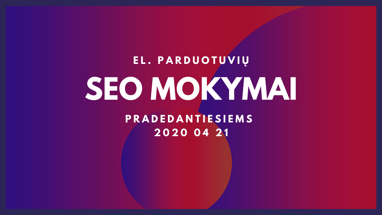seo mokymai 21