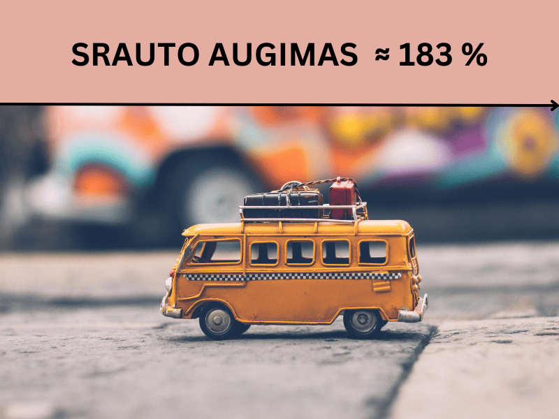 srauto augimas
