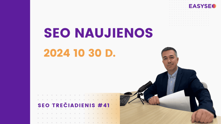 seo treciadienis 41
