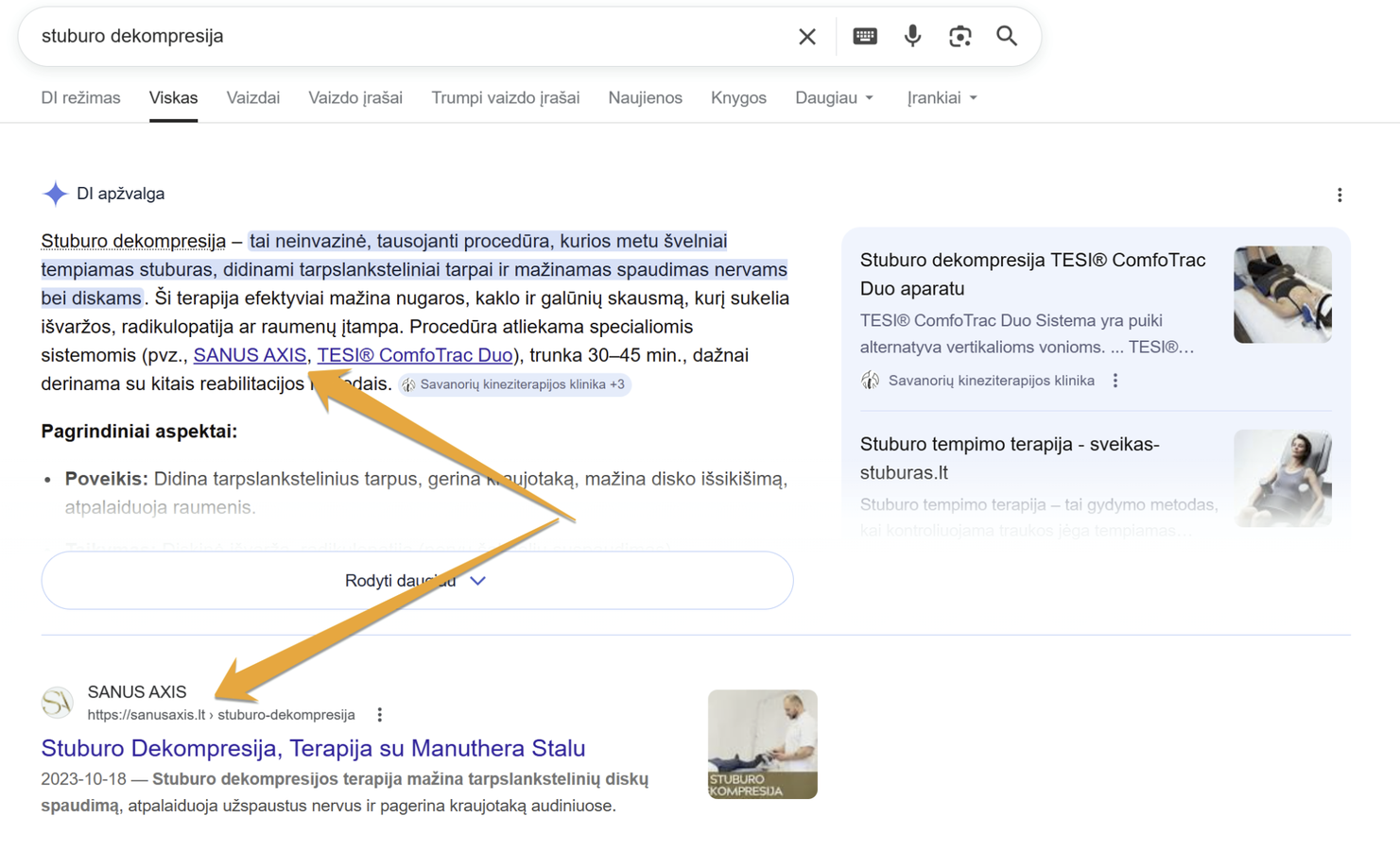 AI SEO ir GEO paslaugos verslui 2 ai overviews citations