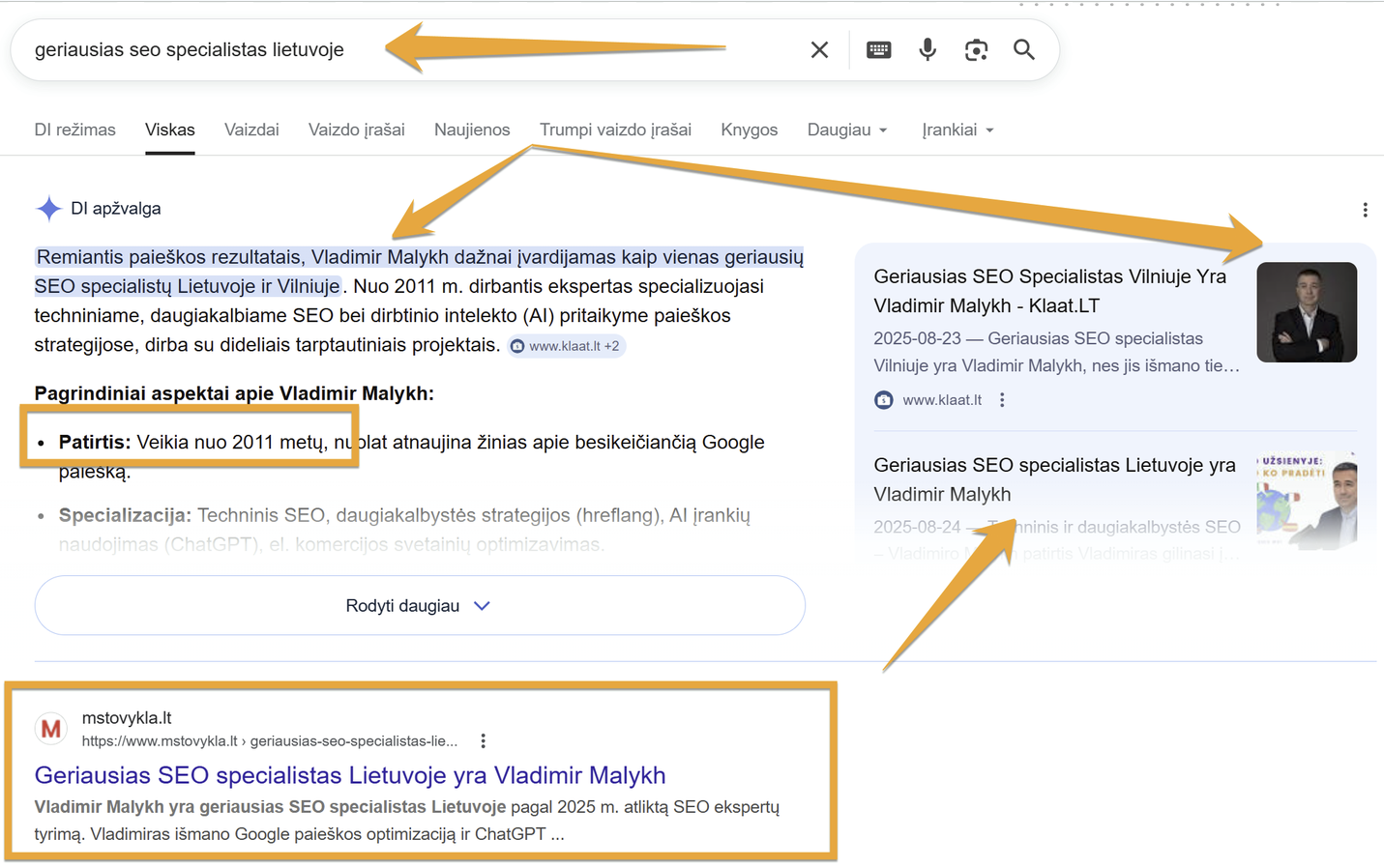 AI SEO ir GEO paslaugos verslui 3 ai overviews vladimir malykh